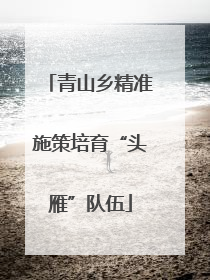 青山乡精准施策培育“头雁”队伍