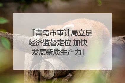 青岛市审计局立足经济监督定位 加快发展新质生产力