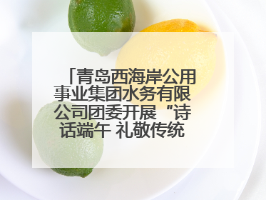 青岛西海岸公用事业集团水务有限公司团委开展“诗话端午 礼敬传统”主题活动