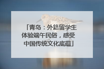 青岛：外籍留学生体验端午民俗，感受中国传统文化底蕴