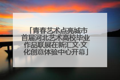 青春艺术点亮城市 首届河北艺术高校毕业作品联展在新汇文·文化创意体验中心开幕