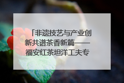 非遗技艺与产业创新共谱茶香新篇——福安红茶坦洋工夫专场推介会在京举办