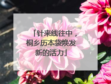 针来线往中，桐乡历本袋焕发新的活力