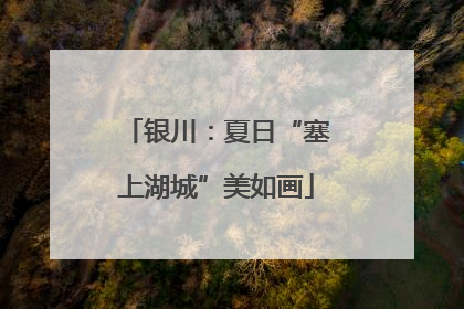 银川：夏日“塞上湖城”美如画