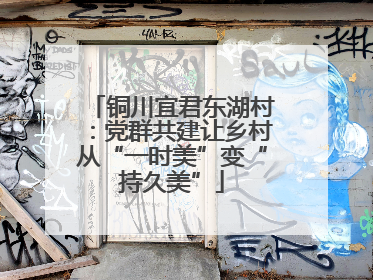 铜川宜君东湖村：党群共建让乡村从“一时美”变“持久美”
