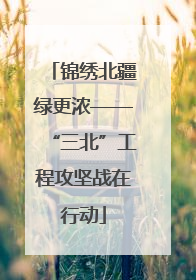 锦绣北疆绿更浓——“三北”工程攻坚战在行动