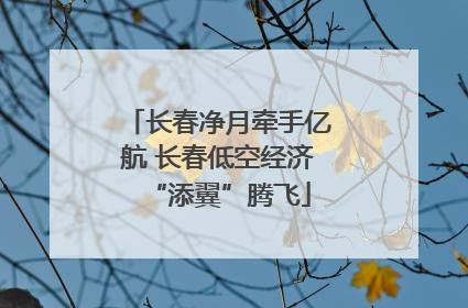 长春净月牵手亿航 长春低空经济“添翼”腾飞