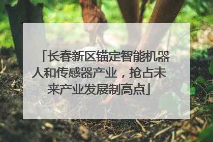 长春新区锚定智能机器人和传感器产业，抢占未来产业发展制高点