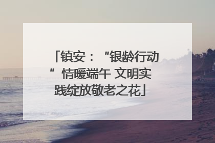 镇安：“银龄行动”情暖端午 文明实践绽放敬老之花