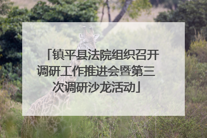 镇平县法院组织召开调研工作推进会暨第三次调研沙龙活动