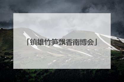 镇雄竹笋飘香南博会