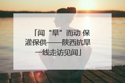 闻“旱”而动 保灌保供——陕西抗旱一线走访见闻