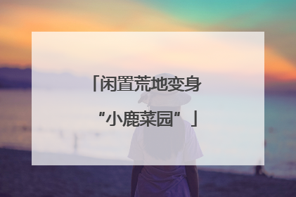 闲置荒地变身“小鹿菜园”