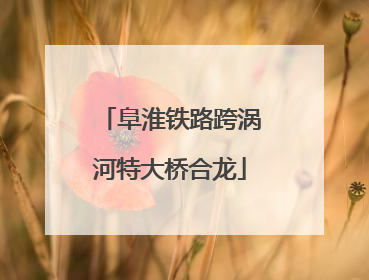 阜淮铁路跨涡河特大桥合龙