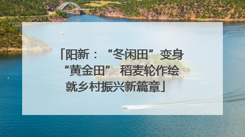 阳新：“冬闲田”变身“黄金田” 稻麦轮作绘就乡村振兴新篇章
