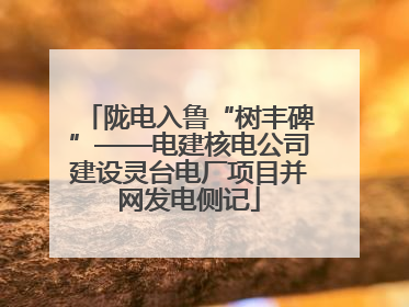 陇电入鲁“树丰碑”——电建核电公司建设灵台电厂项目并网发电侧记