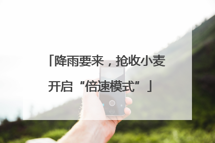降雨要来，抢收小麦开启“倍速模式”