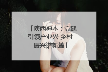 陕西神木：党建引领产业兴 乡村振兴谱新篇