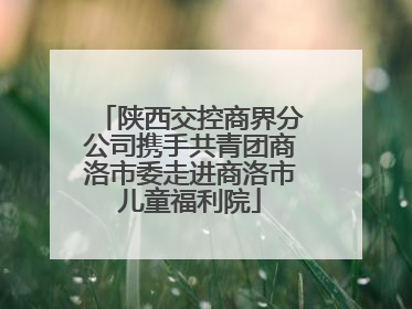 陕西交控商界分公司携手共青团商洛市委走进商洛市儿童福利院