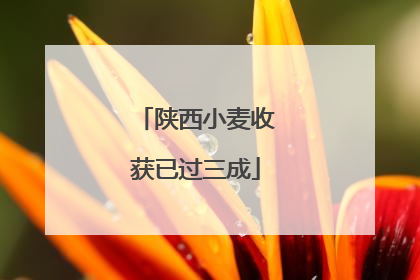 陕西小麦收获已过三成