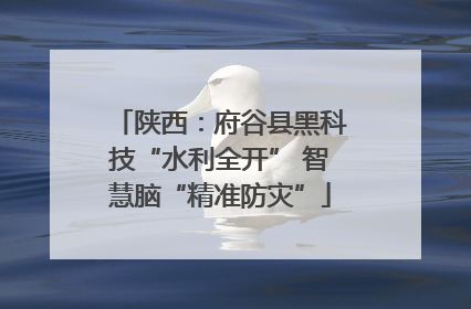 陕西：府谷县黑科技“水利全开” 智慧脑“精准防灾”