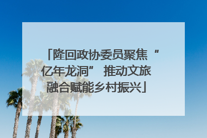 隆回政协委员聚焦“亿年龙洞” 推动文旅融合赋能乡村振兴