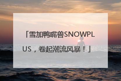 雪加鸭嘴兽SNOWPLUS，卷起潮流风暴！