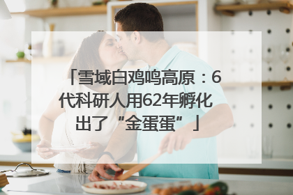 雪域白鸡鸣高原：6代科研人用62年孵化出了“金蛋蛋”