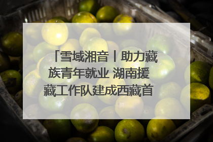 雪域湘音丨助力藏族青年就业 湖南援藏工作队建成西藏首个清洁能源装备园
