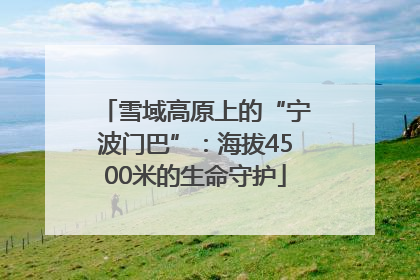 雪域高原上的“宁波门巴”：海拔4500米的生命守护