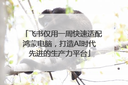 飞书仅用一周快速适配鸿蒙电脑，打造AI时代先进的生产力平台