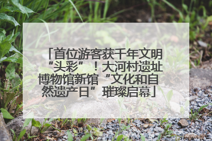 首位游客获千年文明“头彩”！大河村遗址博物馆新馆“文化和自然遗产日”璀璨启幕