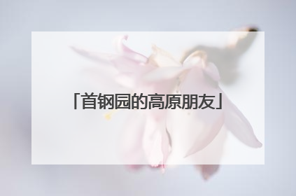 首钢园的高原朋友