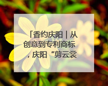 香约庆阳｜从创意到专利商标，庆阳“剪云裳”为非遗市场化探路