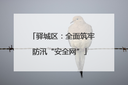 驿城区：全面筑牢防汛“安全网”