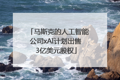 马斯克的人工智能公司xAI计划出售3亿美元股权