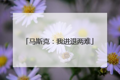 马斯克：我进退两难