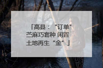 高县：“订单”苎麻巧套种 闲置土地再生“金”