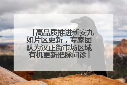 高品质推进新安九如片区更新，专家团队为汉正街市场区域有机更新把脉问诊