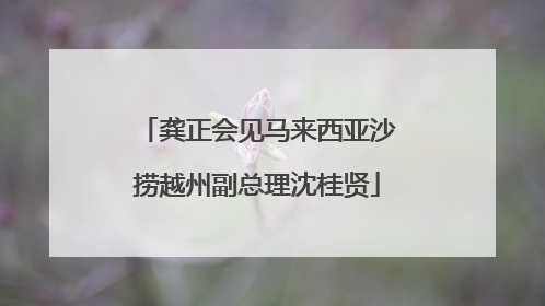 龚正会见马来西亚沙捞越州副总理沈桂贤
