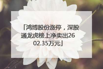 鸿博股份涨停，深股通龙虎榜上净卖出2602.35万元