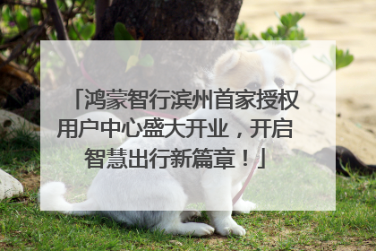 鸿蒙智行滨州首家授权用户中心盛大开业，开启智慧出行新篇章！