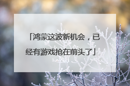 鸿蒙这波新机会，已经有游戏抢在前头了