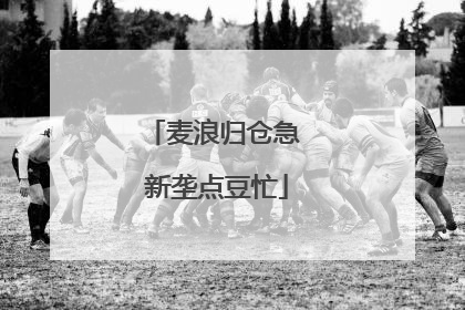 麦浪归仓急 新垄点豆忙