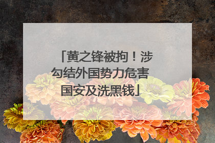黄之锋被拘！涉勾结外国势力危害国安及洗黑钱