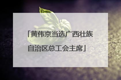 黄伟京当选广西壮族自治区总工会主席