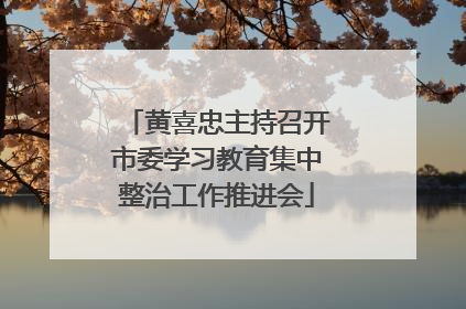 黄喜忠主持召开市委学习教育集中整治工作推进会