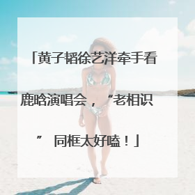 黄子韬徐艺洋牵手看鹿晗演唱会，“老相识” 同框太好嗑！
