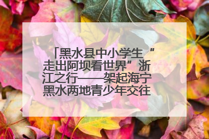 黑水县中小学生“走出阿坝看世界”浙江之行——架起海宁黑水两地青少年交往交流交融新桥梁