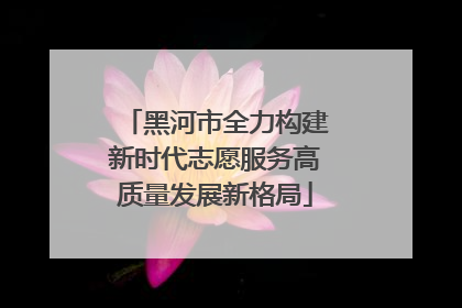 黑河市全力构建新时代志愿服务高质量发展新格局